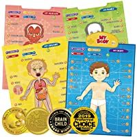 Los mejores  - BEST LEARNING i-Poster mi Cuerpo - Juego Educativo Interactivo de anatomía Humana para Aprender Partes del Cuerpo…